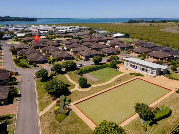 3 Cresta Drive Katikati_10