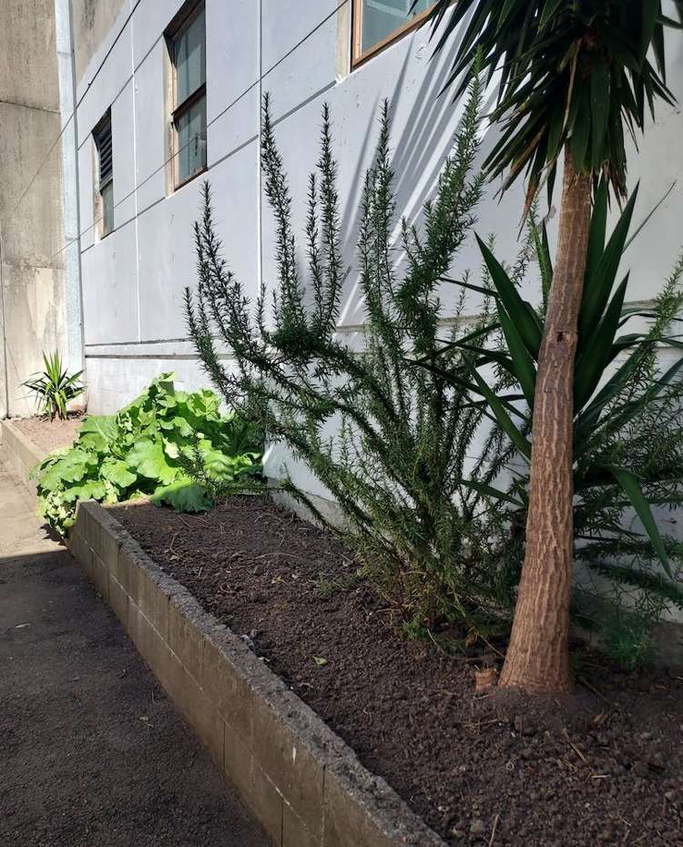 26 Jessie Street Te Aro_13