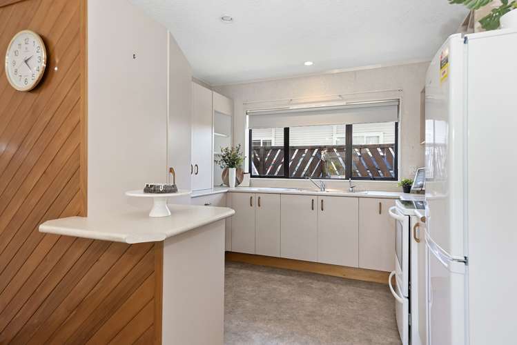 36 Page Street Morrinsville_5