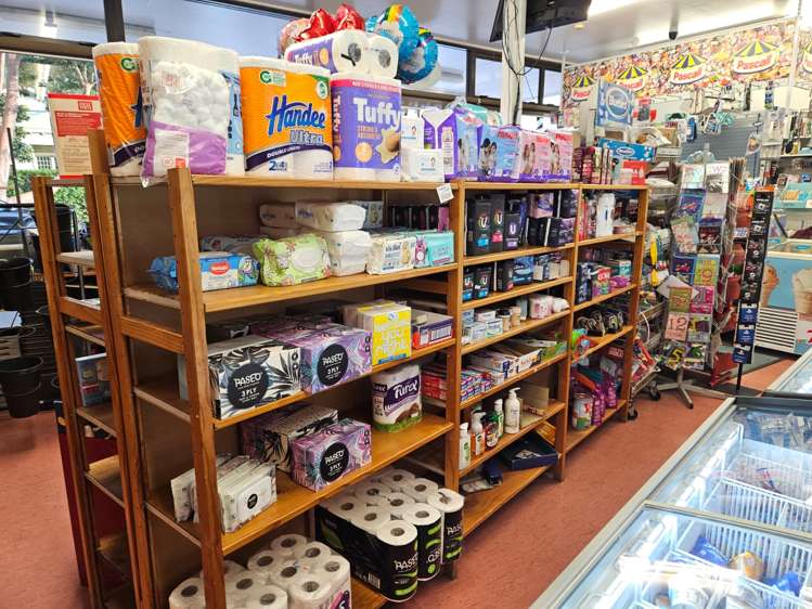 63 Williamson Avenue Grey Lynn_10