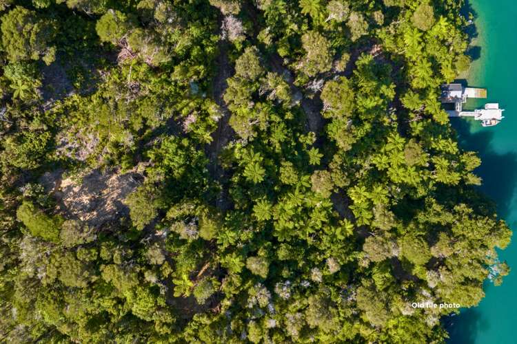 Lot 33 Fence Bay Onahau Bay_6