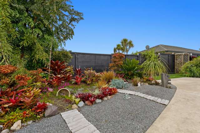 11 Banksia Lane Whakatane_1