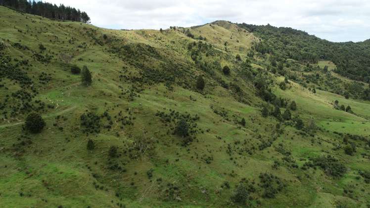 213 Matawherohia Road Kaeo_4