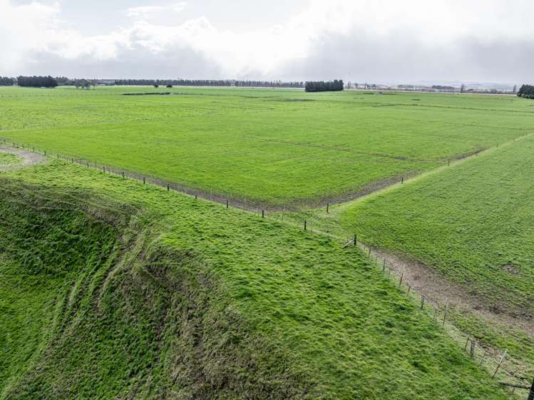 State Highway 2 Takapau_8