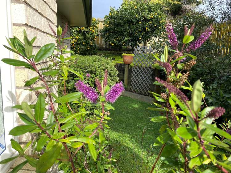 1b Liverpool Street Tuakau_2