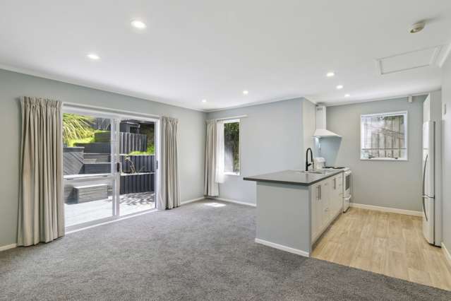 5e Duke Street Mount Victoria_1