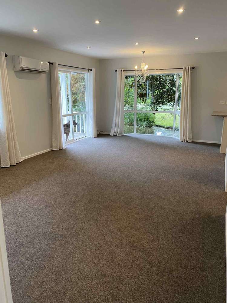 435 Pine Valley Road Dairy Flat_62