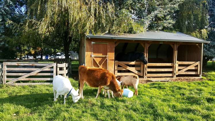 278 Beaconsfield Road Fairview_19