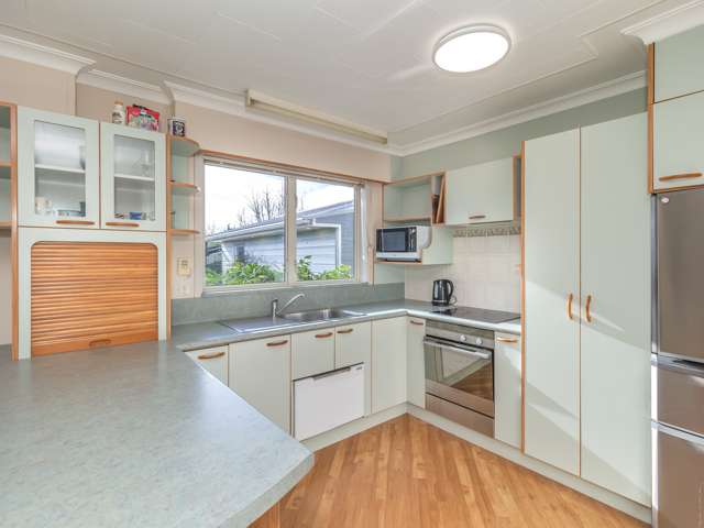 19 Parsons Avenue Levin_2