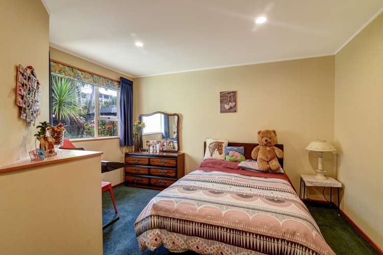 41 Elm Tree Avenue Frankton_9