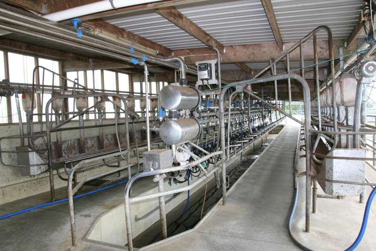 172 Radnor Road Midhirst_6