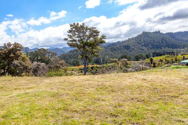 2a Mason Rise Tairua_2