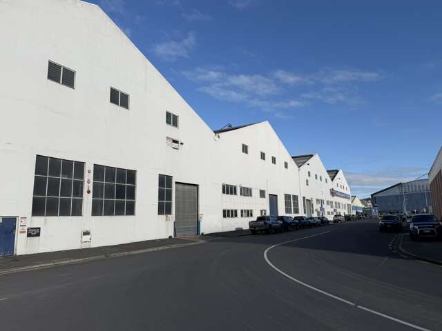 88 Parry Street Dunedin_1