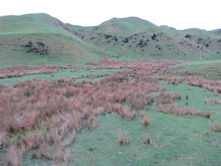 985 Ohariu Valley Road Ohariu_3