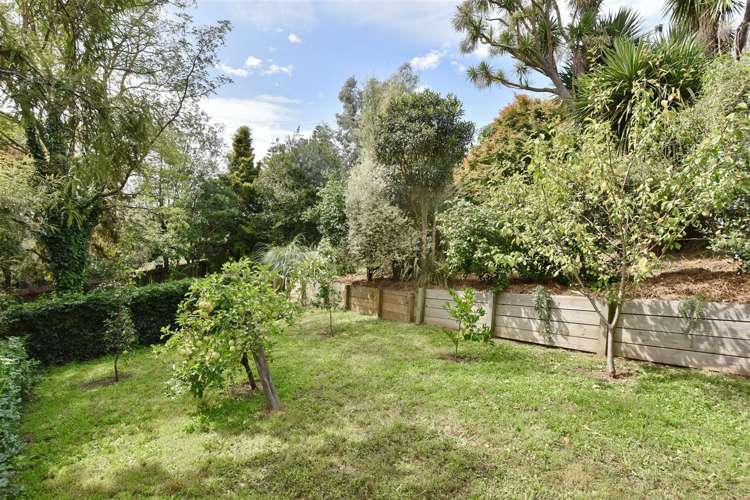 58a Hackthorne Road Cashmere_20