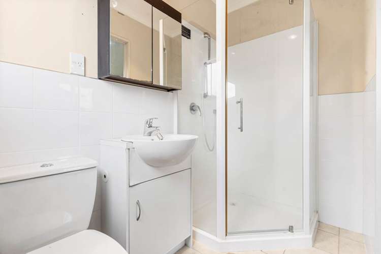 15 Mandival Avenue Flat Bush_11