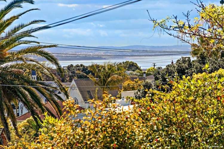 204 Blockhouse Bay Road Avondale_4