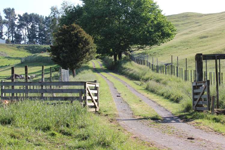 510 Smedley Road Tikokino_28