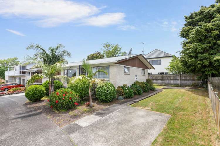 14a Methuen Road Avondale_9