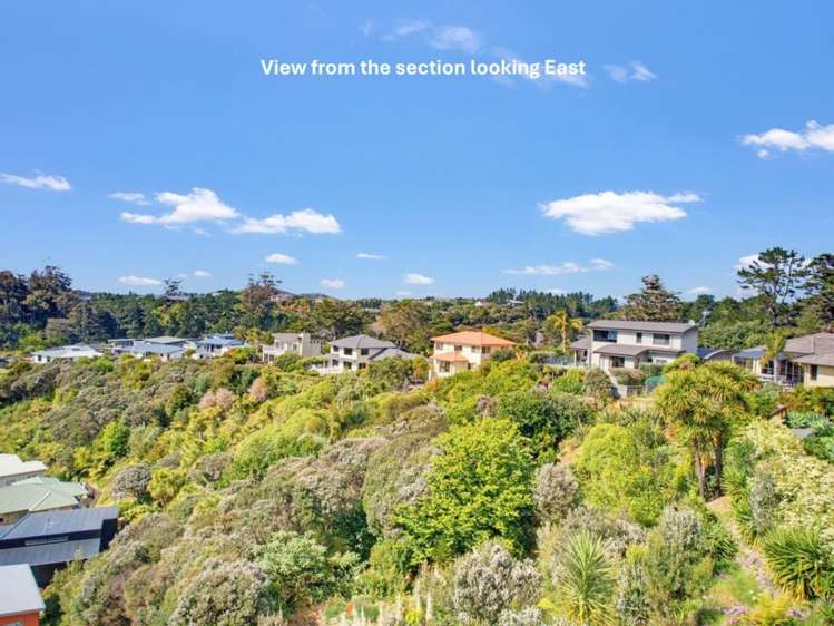 23 Genoa Lane Tutukaka_3