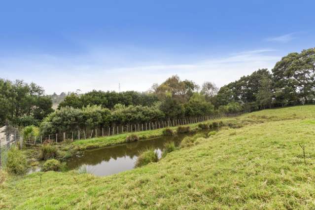 44 Follies Way Dairy Flat_3