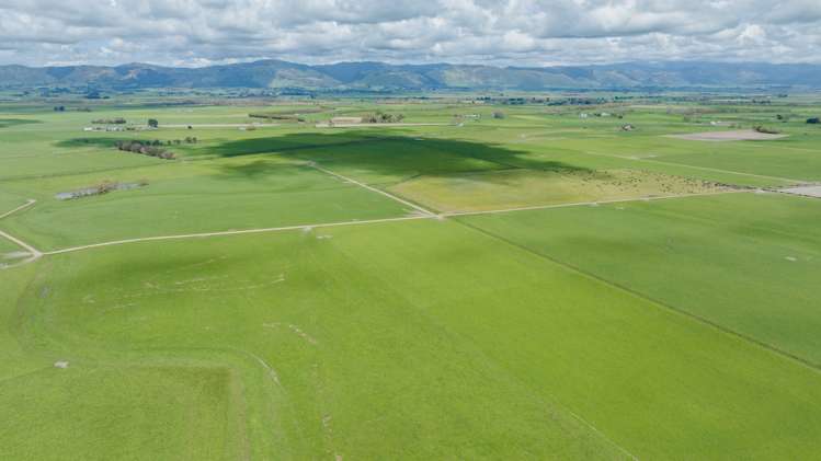 1217 Rangiotu Road Tiakitahuna_7