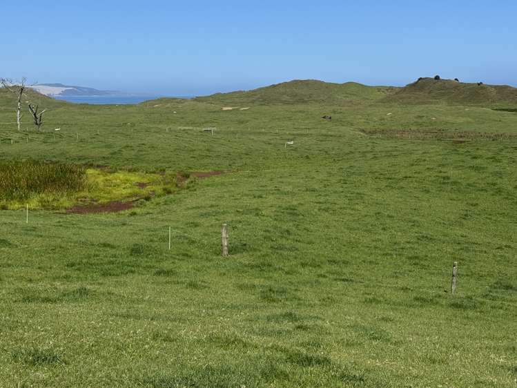 Sandhills Road Ahipara_14