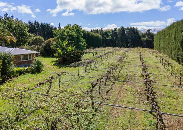 168 Willoughby Road Hauraki Surrounds_4