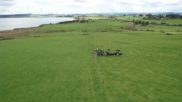 102ha Lake Frontage Beef Farm