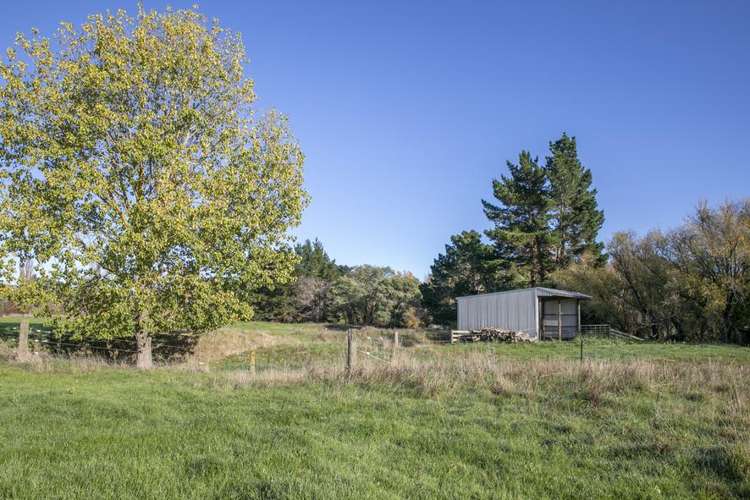 652 Makino Road Feilding_13