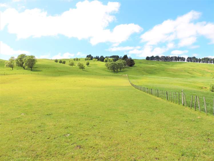 53 Jones Road Porangahau_2