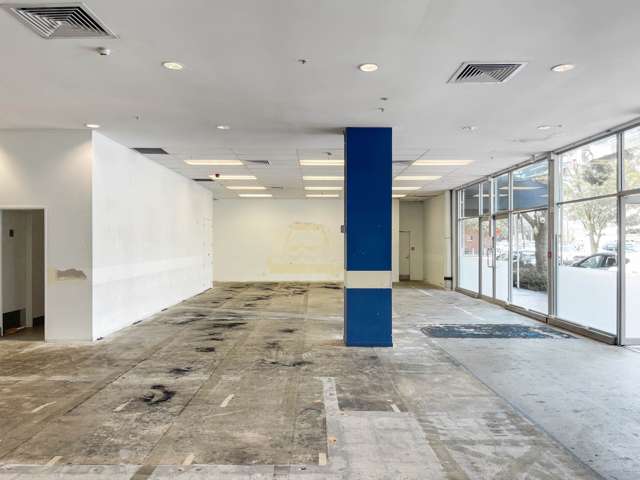 Aylesbury Street Pakuranga_2