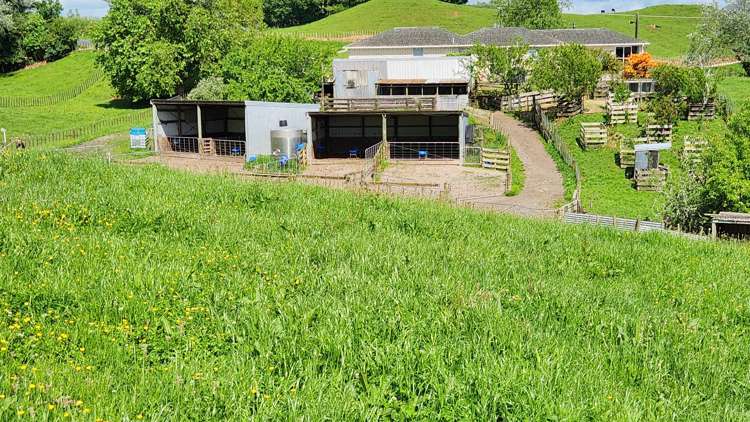 133 Kaimata Road Kaimata_20