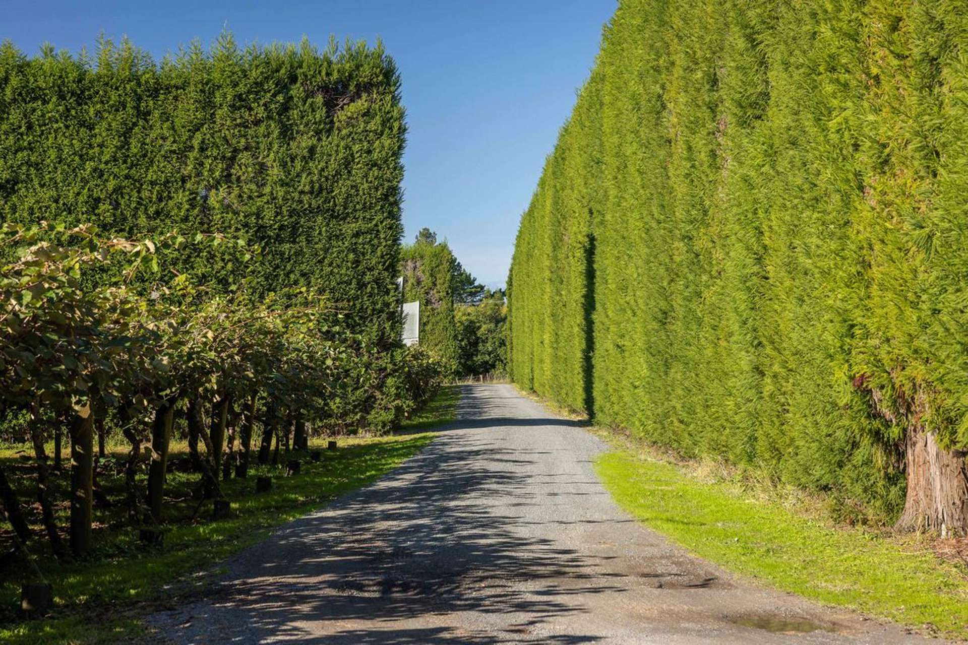 172 Maungarangi Road Te Puke_0