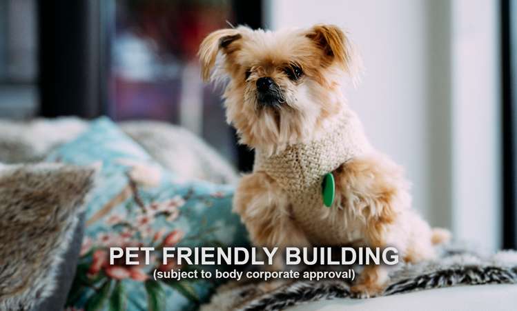 1e/36 James Cook Crescent Remuera_18