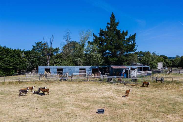 704 South Eyre Road Swannanoa_6