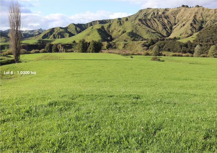 632 Mangaotuku Road Tututawa_14