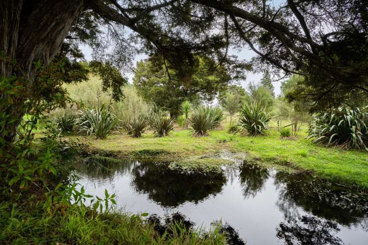 45 Suester Road Poroti_24