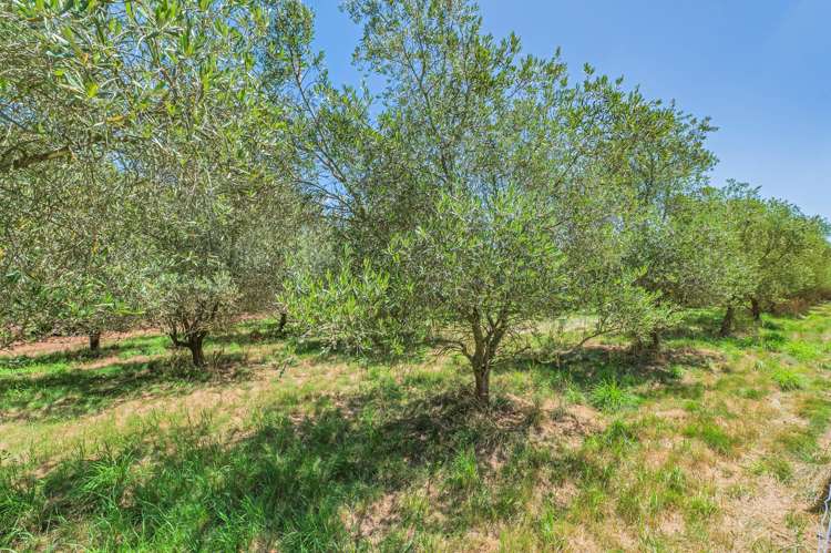 725 Ridgens Road Charing Cross_31