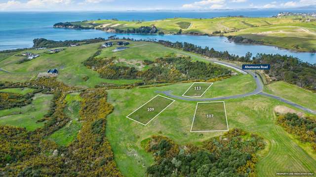 Lot 109 Weiti Bay Okura Bush_1
