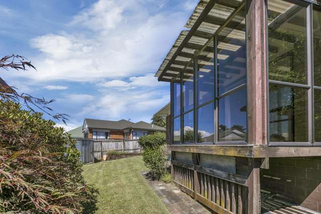 14a Cradock Street Avondale_3