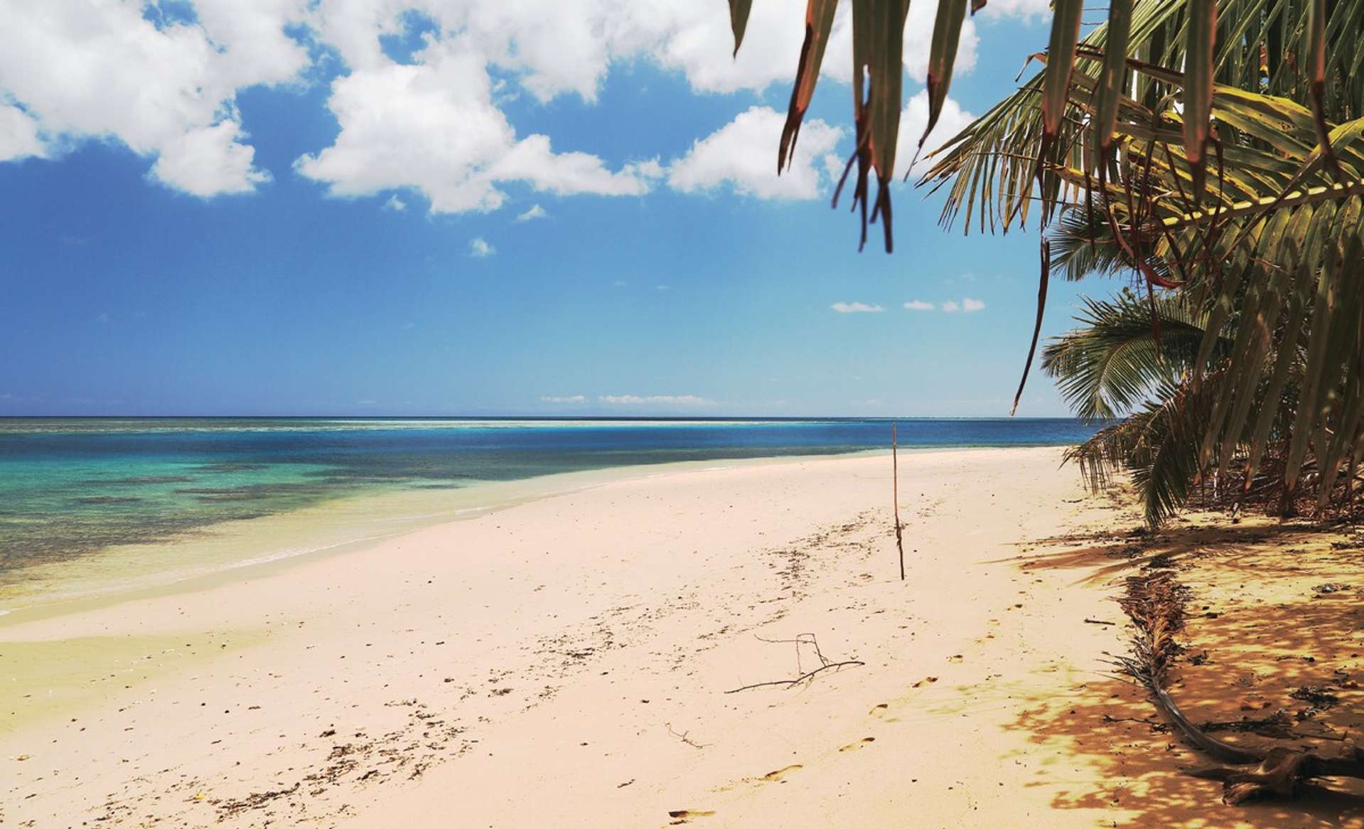 Matana Plantation Koro Island_0