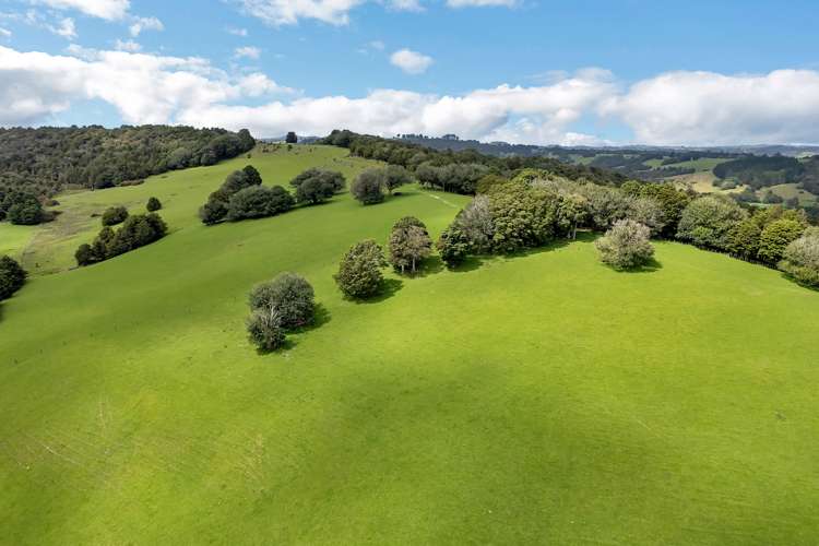 2006 State Highway 1 Hukerenui and Surrounds_19