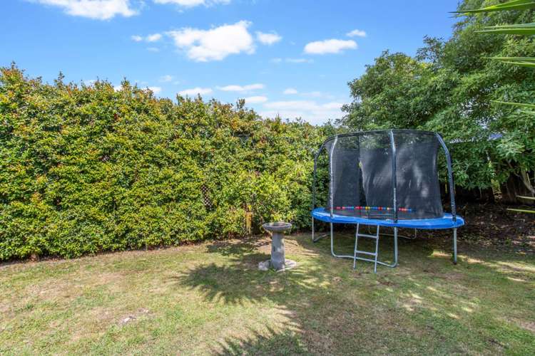 115 John Street Ponsonby_16