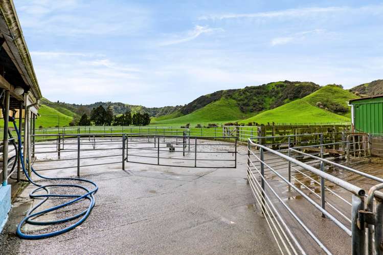 227 Bredow Road Douglas_7