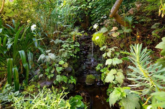 5 Allan Street Nelson South_3