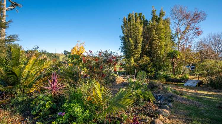 102 Puriri Valley Road Puriri_22