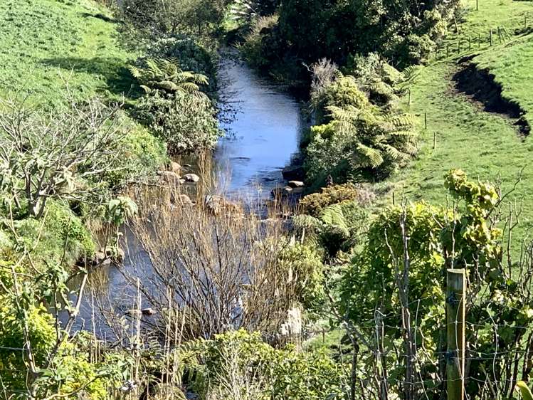 124a Mountain Road Sentry Hill_17