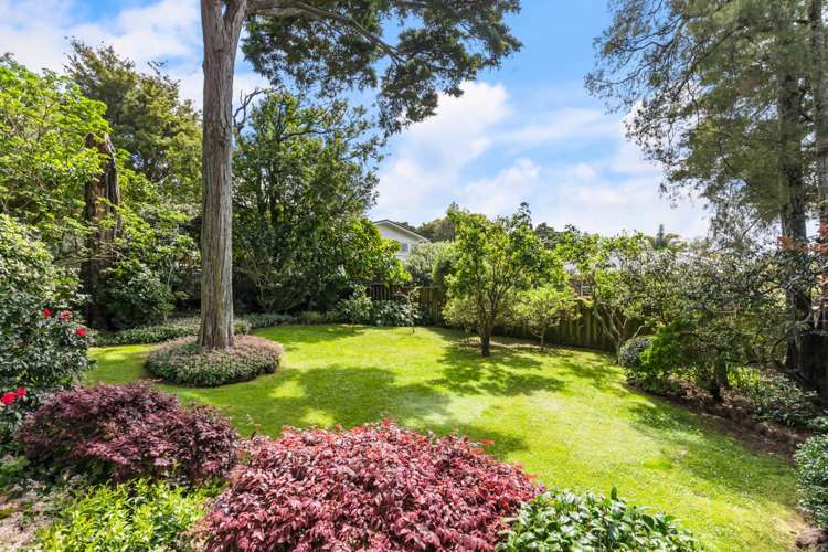 53a Hillcrest Avenue Hillcrest_10