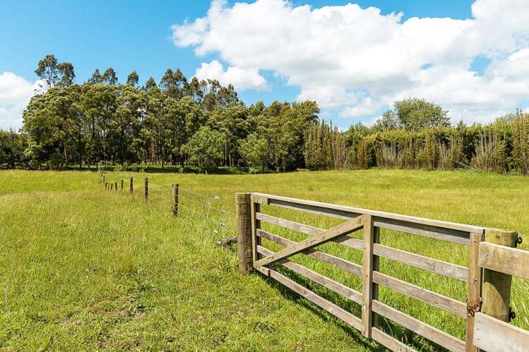 269 Fitzgerald Road Drury_19